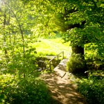 Bergische Bauern - Eine tolle Wanderrunde durch die Wupperberge