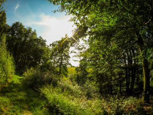 Endlich mal wieder raus - Eine "kleine" Runde durch die Ausläufer des Bergischen Landes