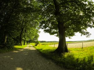 Endlich mal wieder raus - Eine "kleine" Runde durch die Ausläufer des Bergischen Landes