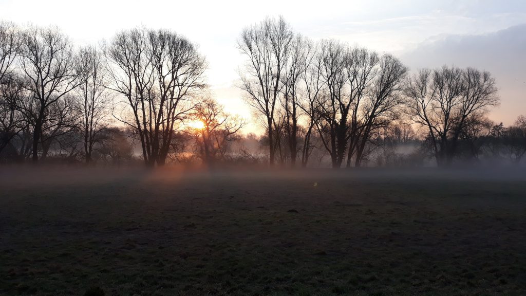 Fahrradpendler im Kölner Norden - Morgenstimmung an der Wupper