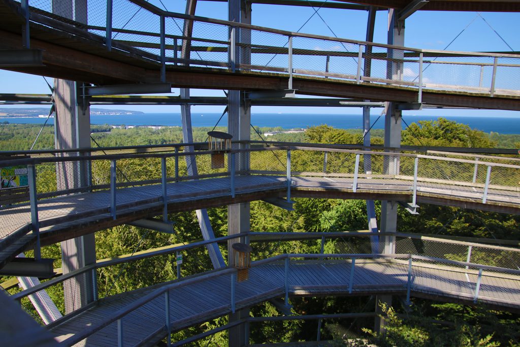 Ostsee - Rügen - Blick vom Baumwipfelpfad des Naturerbe Zentrum Rügen zwischen Binz und Prora