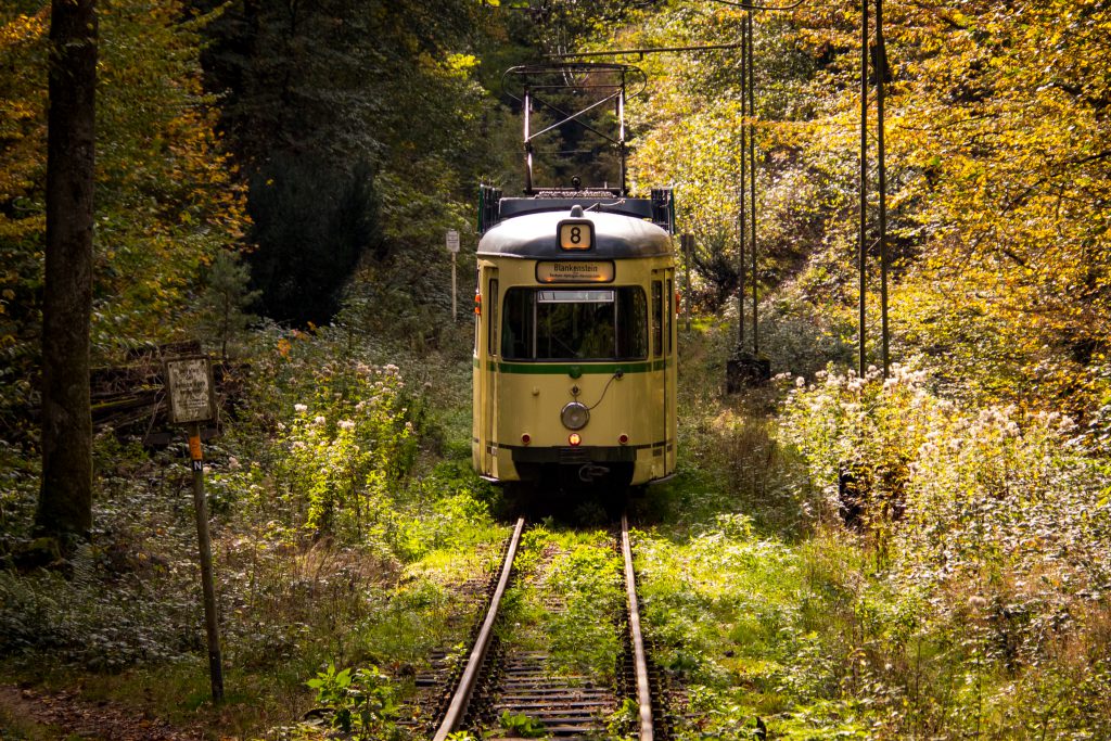 Wandern an der Strecke der Bergischen Museumsbahnen e.V.