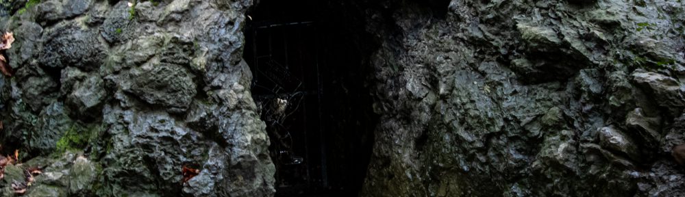 Kluterthöhle in Ennepetal - Höhleneingang