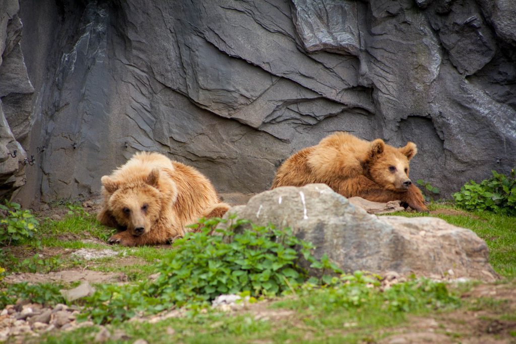 Zoo ZOOM Erlebniswelt Gelsenkirchen