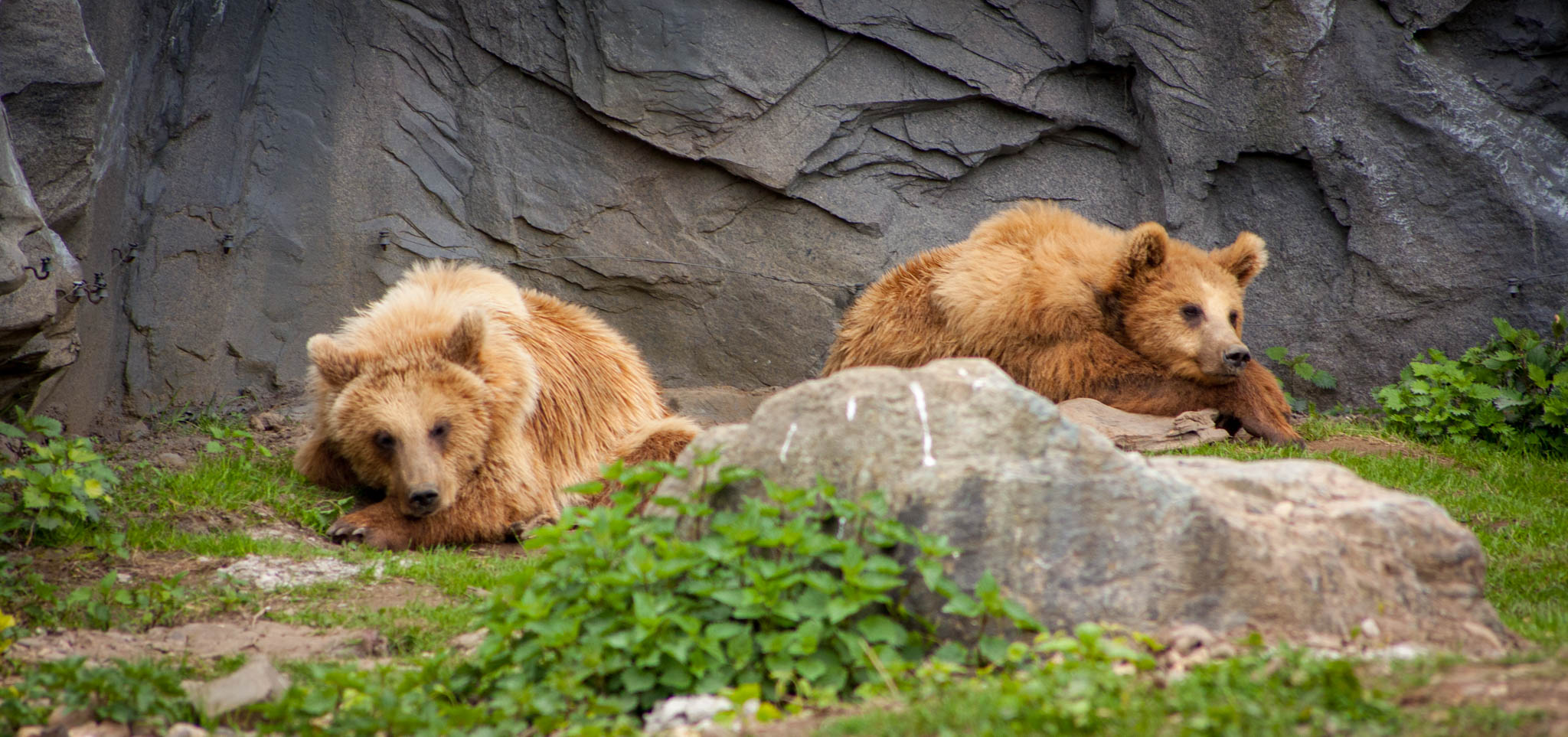 Zoo ZOOM Erlebniswelt Gelsenkirchen