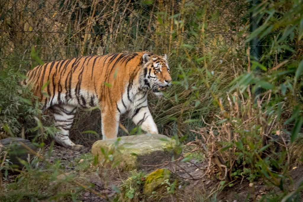 Zoo ZOOM Erlebniswelt Gelsenkirchen