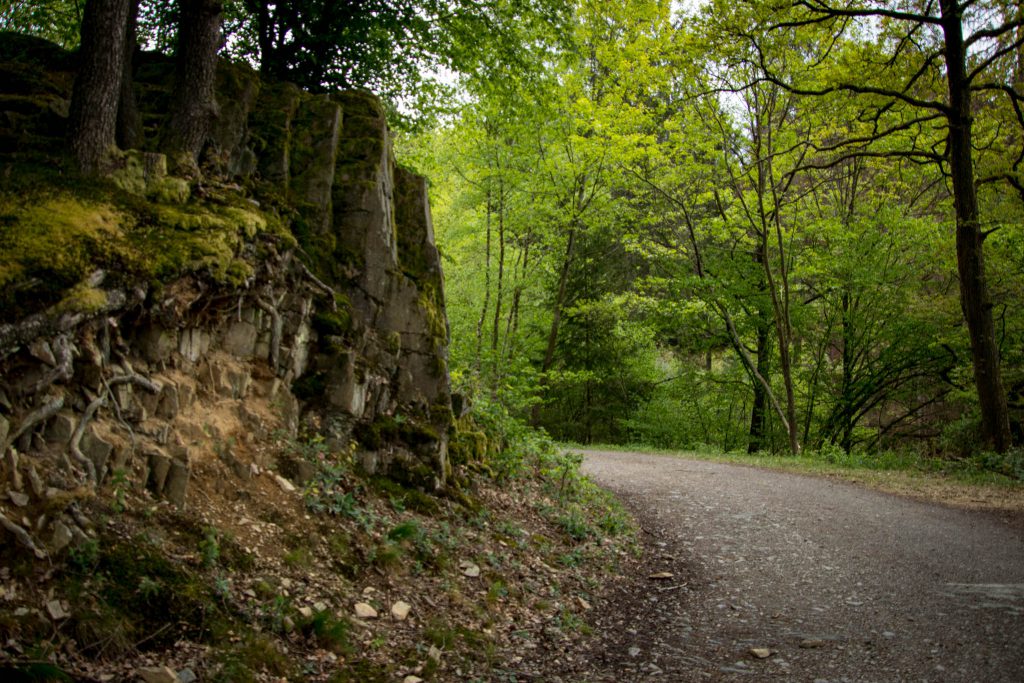 Wandern rund um die Sengbachtalsperre