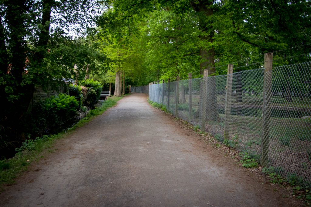 Wildpark Dünnwald