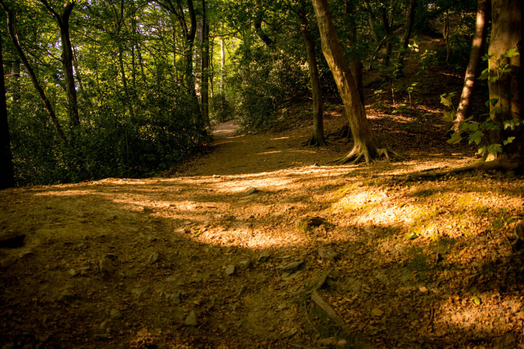 Unterwegs im Bergischen Wanderland: Streifzug Nr. 4 - Leichlinger Obstweg