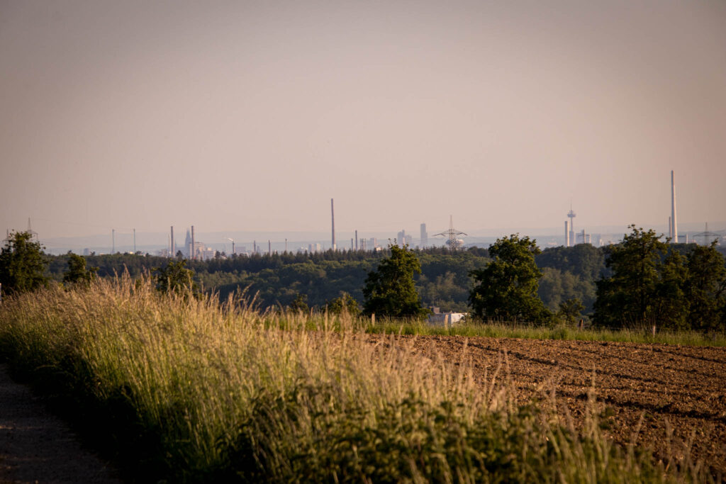 Unterwegs im Bergischen Wanderland: Streifzug Nr. 4 - Leichlinger Obstweg - Erster Ausblick in Richtung Köln - Erster Ausblick in Richtung Köln – Wer genau schaut, kann den Dom und den Colonius erkennen