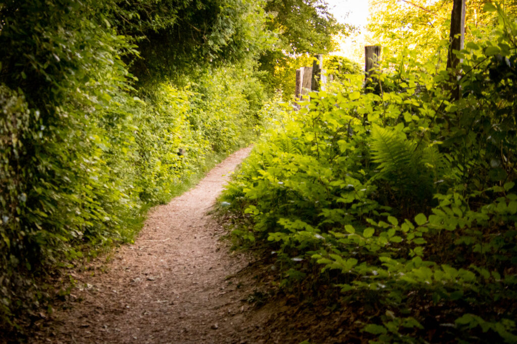 Unterwegs im Bergischen Wanderland: Streifzug Nr. 4 - Leichlinger Obstweg