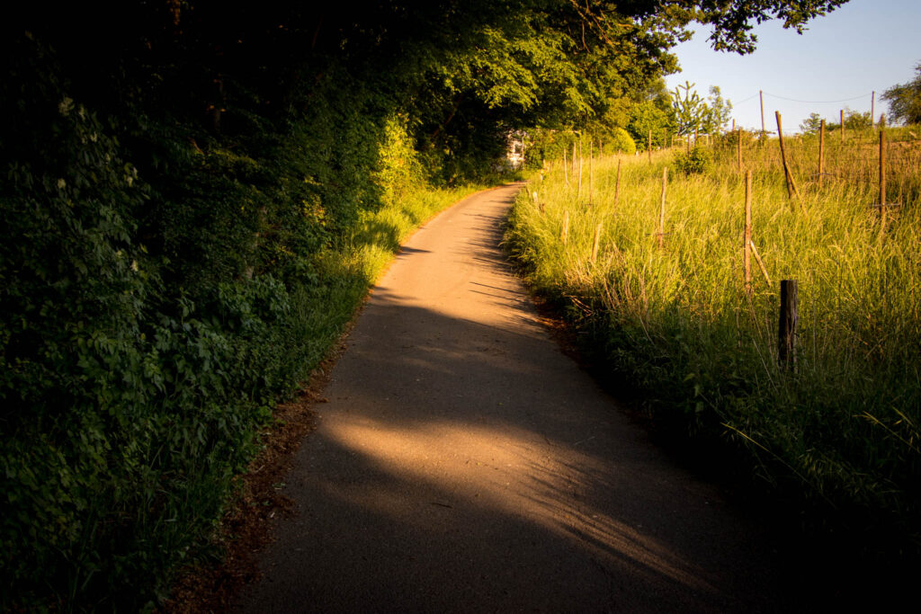 Unterwegs im Bergischen Wanderland: Streifzug Nr. 4 - Leichlinger Obstweg