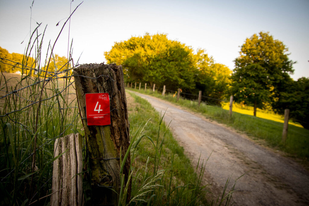 Unterwegs im Bergischen Wanderland: Streifzug Nr. 4 - Leichlinger Obstweg