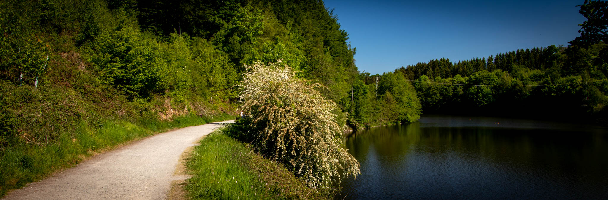 Bergischer Streifzug Nr. 2 - Wasserweg Hückeswagen - Rund um die Vorsperre der Wuppertalsperre