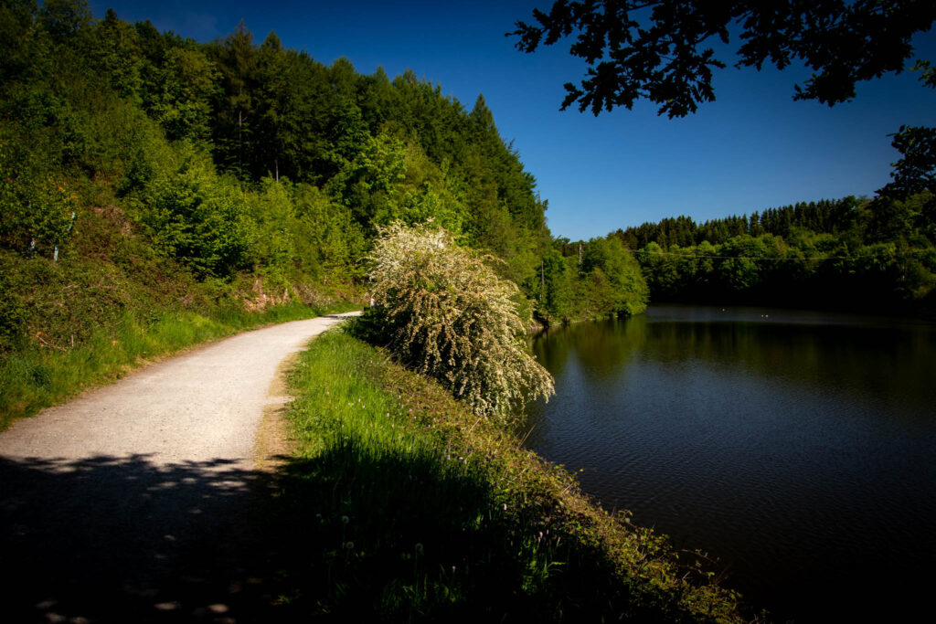 Bergischer Streifzug Nr. 2 - Wasserweg Hückeswagen - Rund um die Vorsperre der Wuppertalsperre