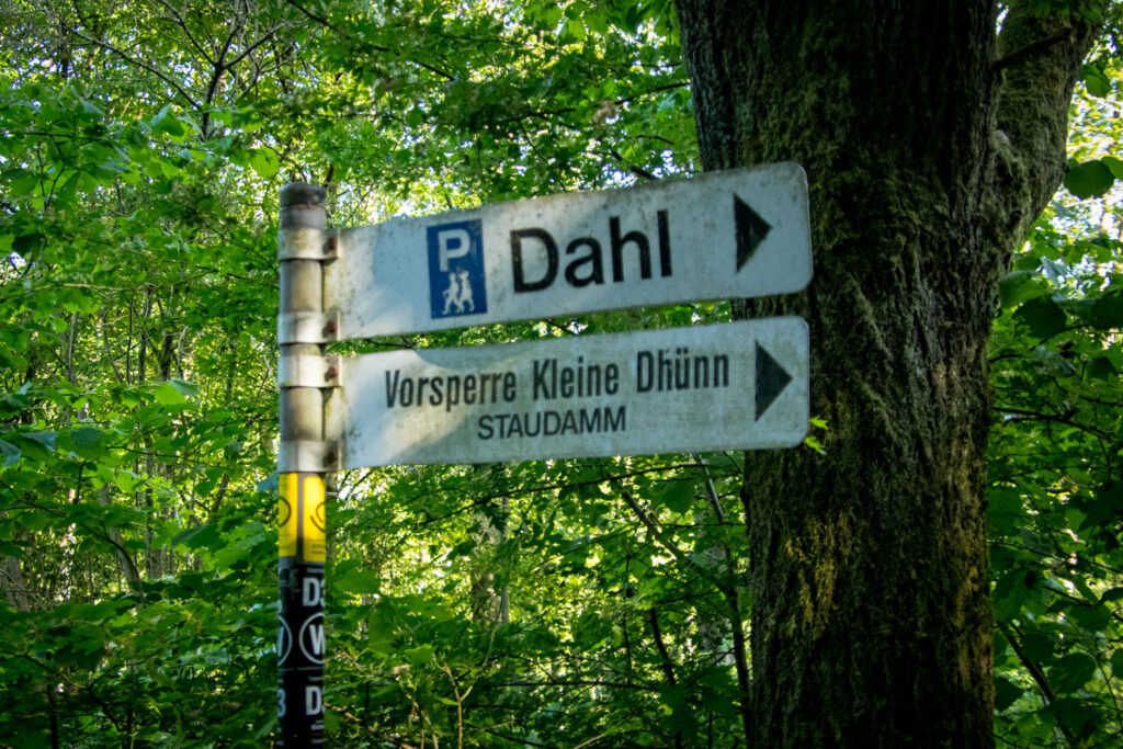 Wandern an der Dhünntalsperre - Rund um die Vorsperre Kleine Dhünn