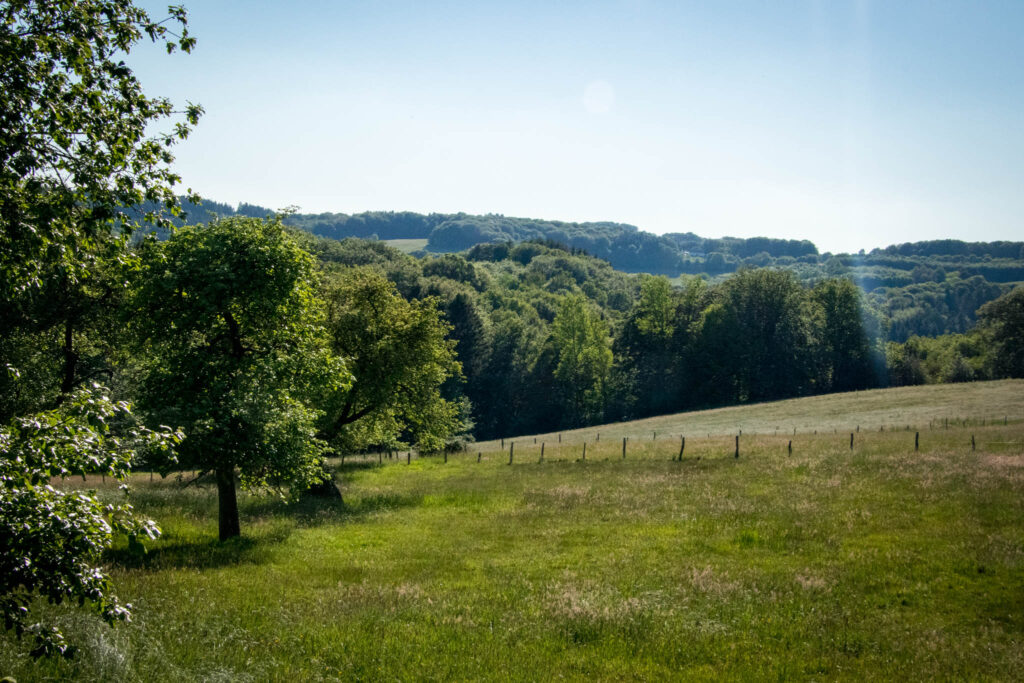 Wandern an der Dhünntalsperre - Rund um die Vorsperre Kleine Dhünn