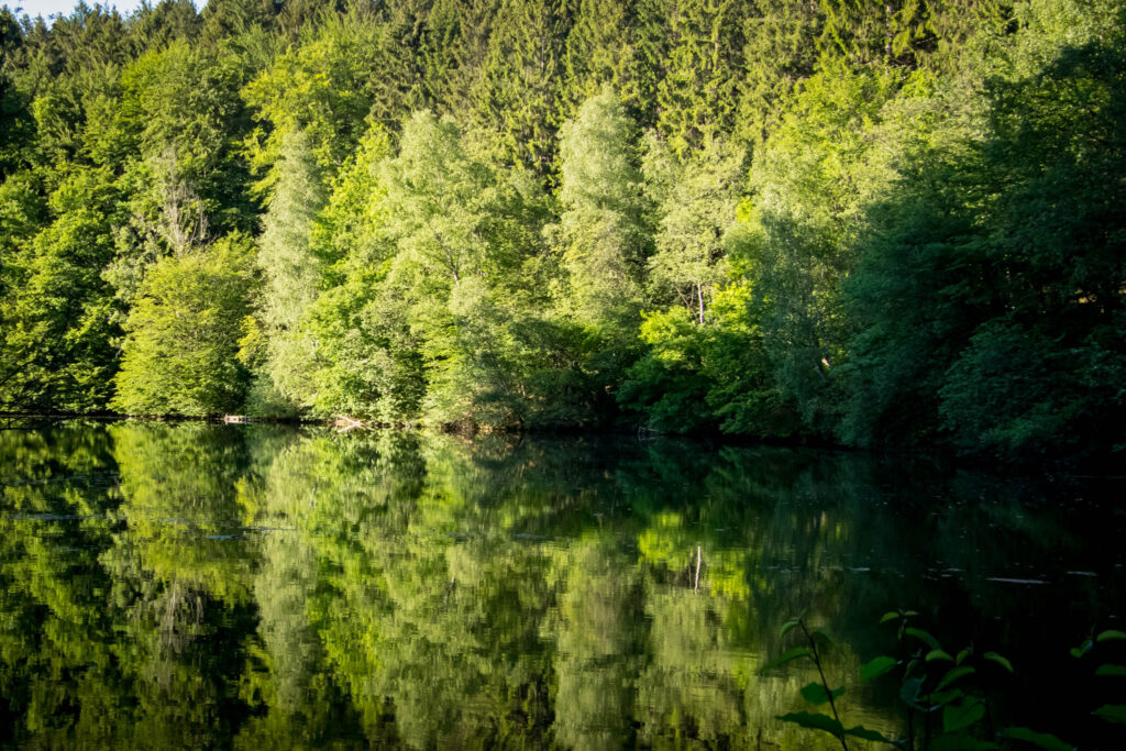 Wandern an der Dhünntalsperre - Rund um die Vorsperre Kleine Dhünn