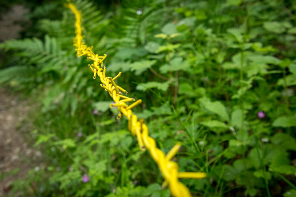 Unterwegs im Bergischen Wanderland: Streifzug Nr. 8 – Steinhauerpfad in Lindlar