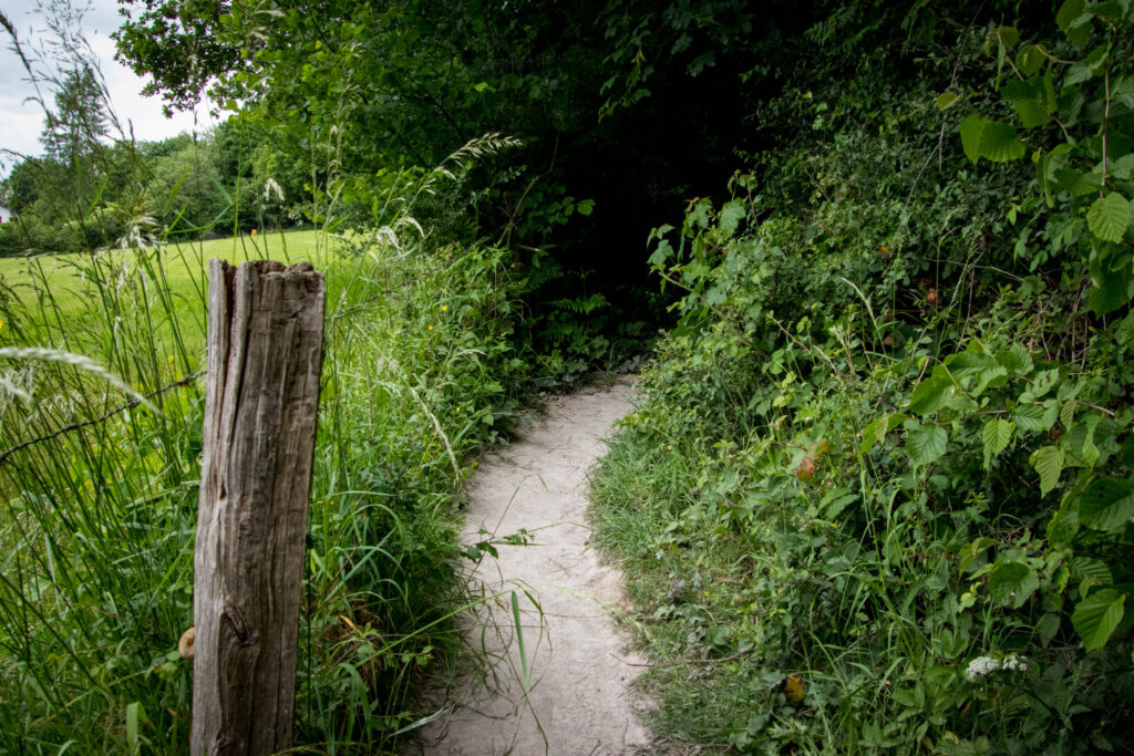 Unterwegs im Bergischen Wanderland: Streifzug Nr. 8 – Steinhauerpfad in Lindlar