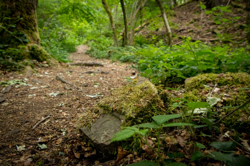 Unterwegs im Bergischen Wanderland: Streifzug Nr. 8 – Steinhauerpfad in Lindlar