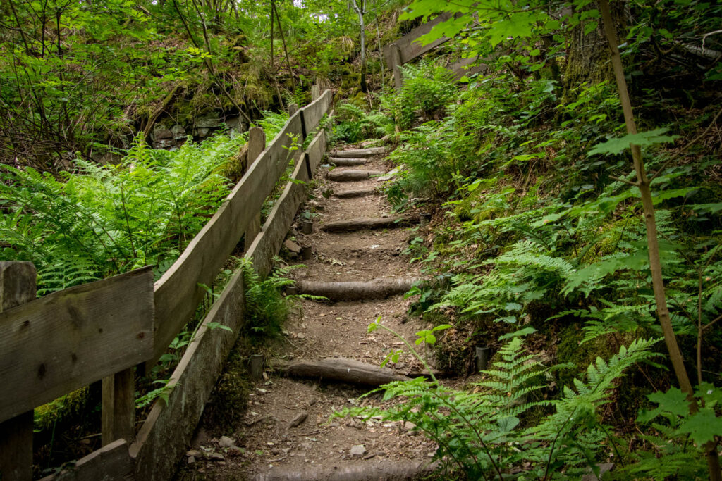 Unterwegs im Bergischen Wanderland: Streifzug Nr. 8 – Steinhauerpfad in Lindlar