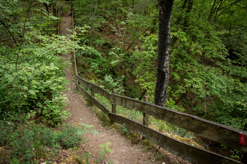 Unterwegs im Bergischen Wanderland: Streifzug Nr. 8 – Steinhauerpfad in Lindlar