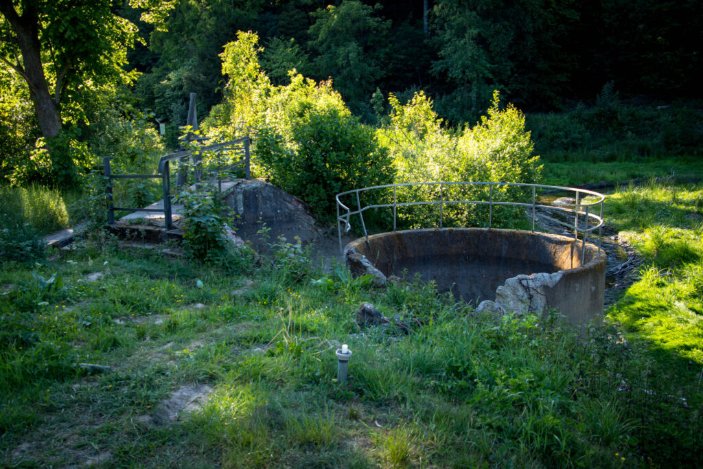 Wandern um die Eschbachtalsperre zwischen Remscheid und Wermelskirchen