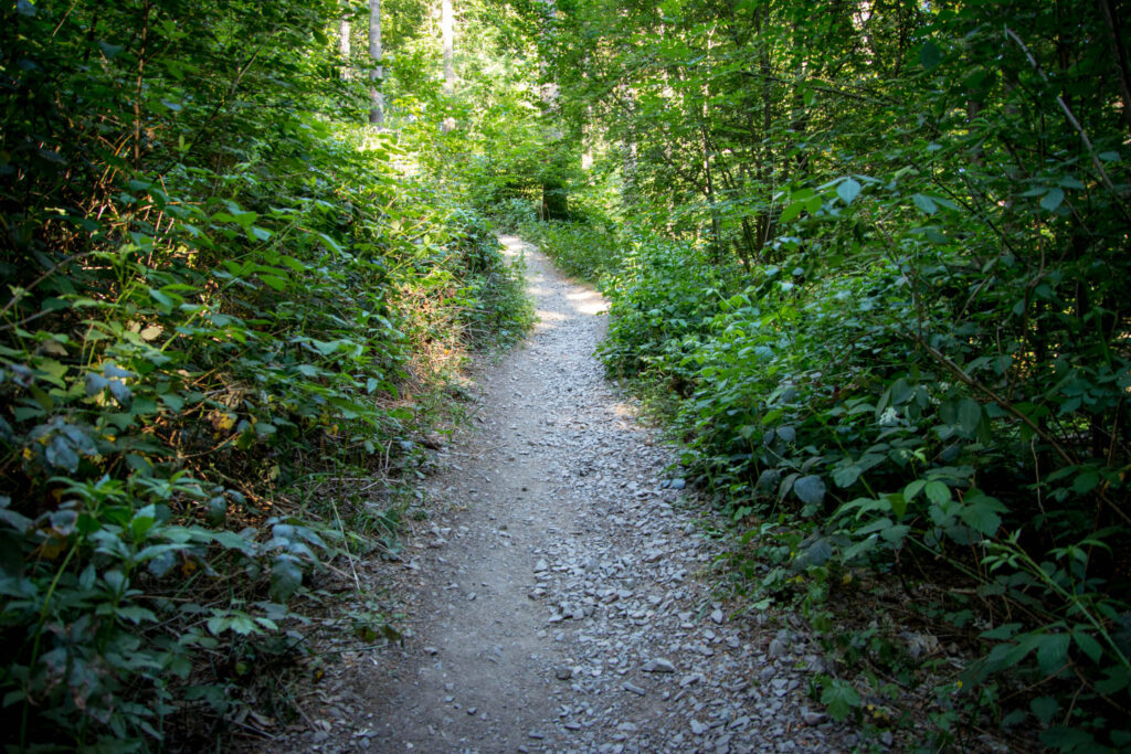 Wandern um die Eschbachtalsperre zwischen Remscheid und Wermelskirchen