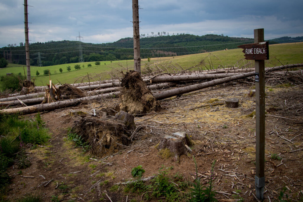 Unterwegs in Lindlar Scheel zwischen Zwergenhöhle, Ruine Burg Eibach und Ruine Burg Neuenberg - Wegweiser durch den Windbruch