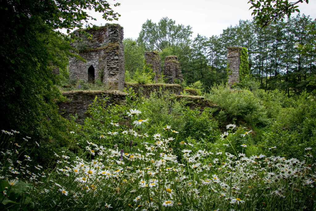 Unterwegs in Lindlar Scheel zwischen Zwergenhöhle, Ruine Burg Eibach und Ruine Burg Neuenberg - Blick auf die Ruine Eibach