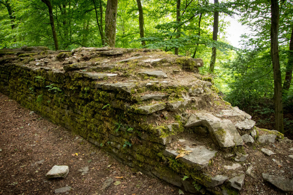 Ruine Burg Neuenberg