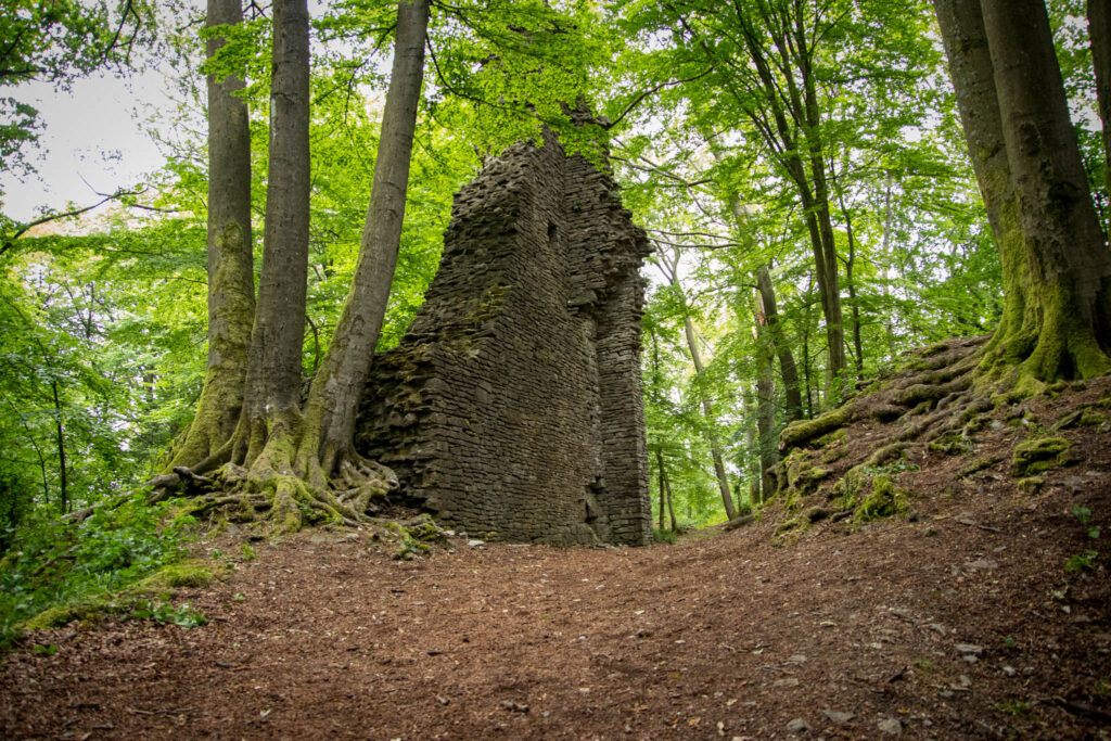 Ruine Burg Neuenberg