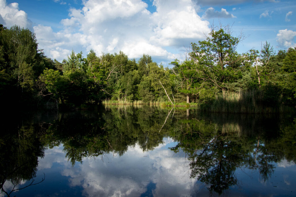 Solingen - Ohligser Heide