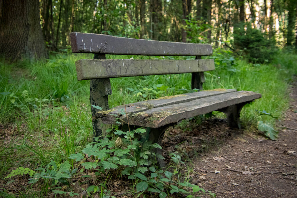 Solingen - Ohligser Heide