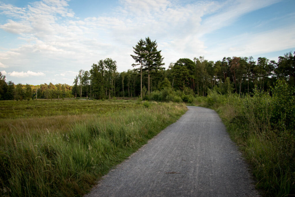 Solingen - Ohligser Heide