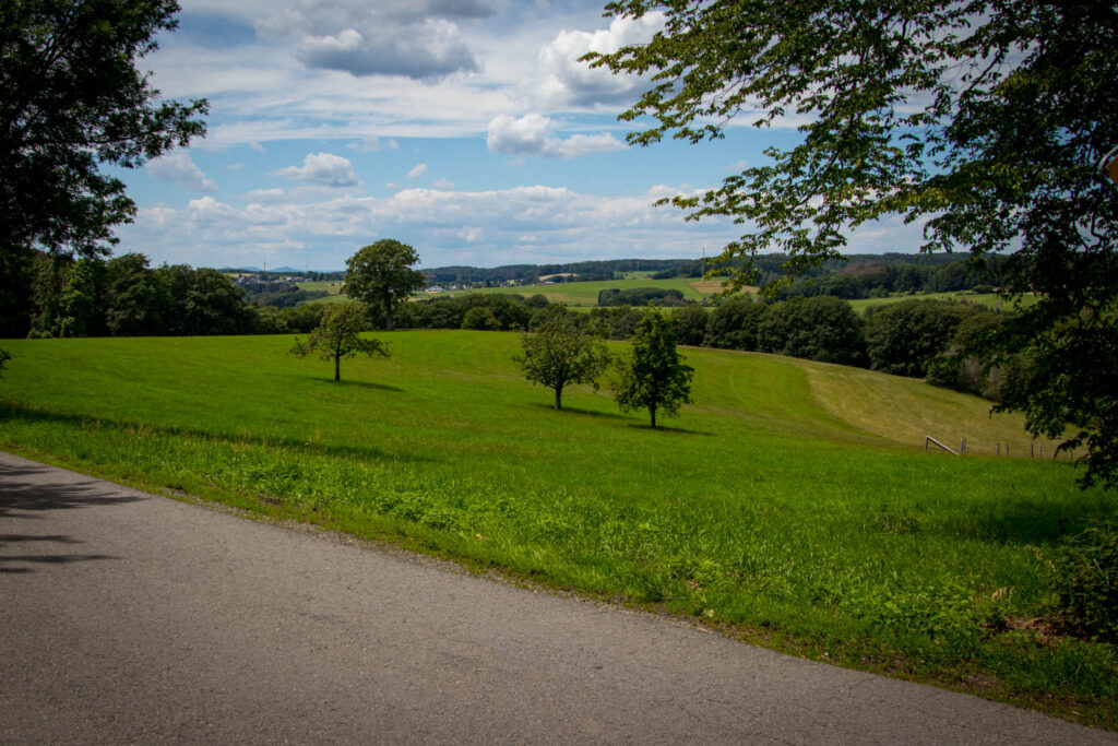 Streifzug Nr. 23 – Waldmythenweg in Waldbröl