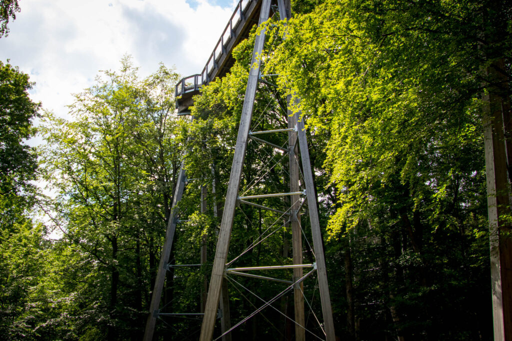 Streifzug Nr. 23 – Waldmythenweg in Waldbröl