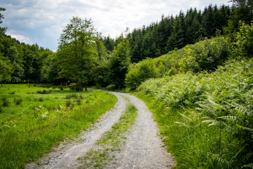 Streifzug Nr. 23 – Waldmythenweg in Waldbröl