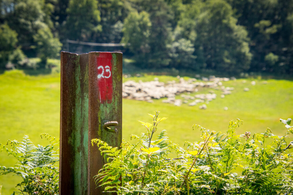 Streifzug Nr. 23 – Waldmythenweg in Waldbröl