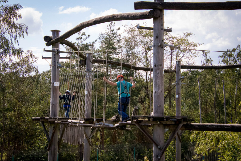 Safariland Stukenbrook - Safari zum selber fahren in NRW