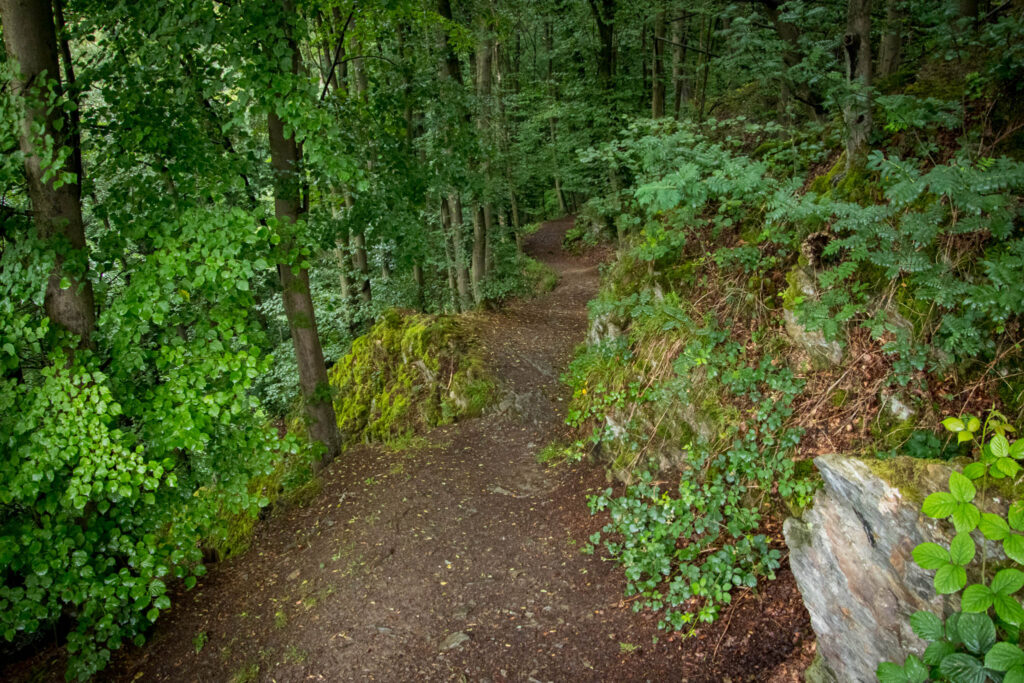 Wandern rund um die Müngstener Brücke