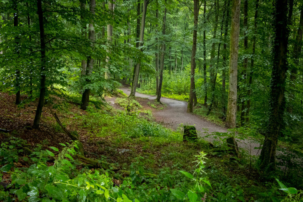 Wandern rund um die Müngstener Brücke