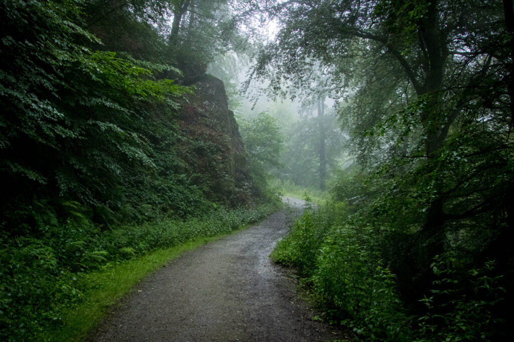 Wandern rund um die Müngstener Brücke