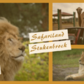 Safariland Stukenbrock - Safari mit dem eigenen Auto