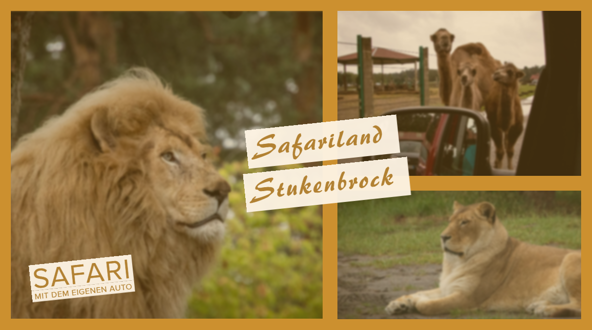 Safariland Stukenbrock - Safari mit dem eigenen Auto