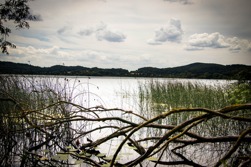 Wanderung um den Laacher See - Ufer