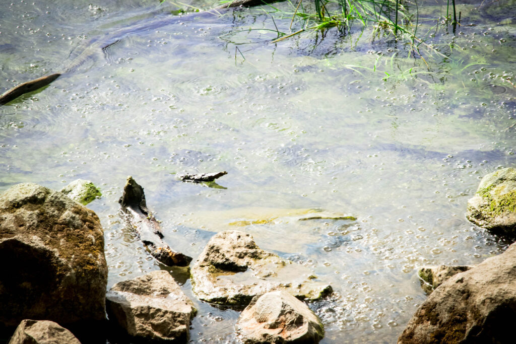 Wanderung um den Laacher See - Mofetten