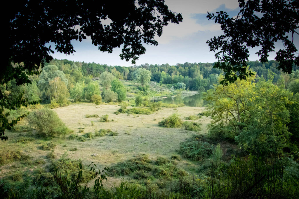 Zwischen Köln Dünnwald und Leverkusen Schlebusch - Wandern im Naturschutzgebiet "Am Hornpottweg" - Blick vom Rande der ehemaligen Kiesgrube in das Naturschutzgebiet