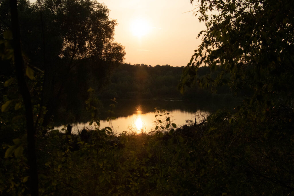 Zwischen Köln Dünnwald und Leverkusen Schlebusch - Wandern im Naturschutzgebiet "Am Hornpottweg" - Bilck über den See Richtung Sonnenuntergang